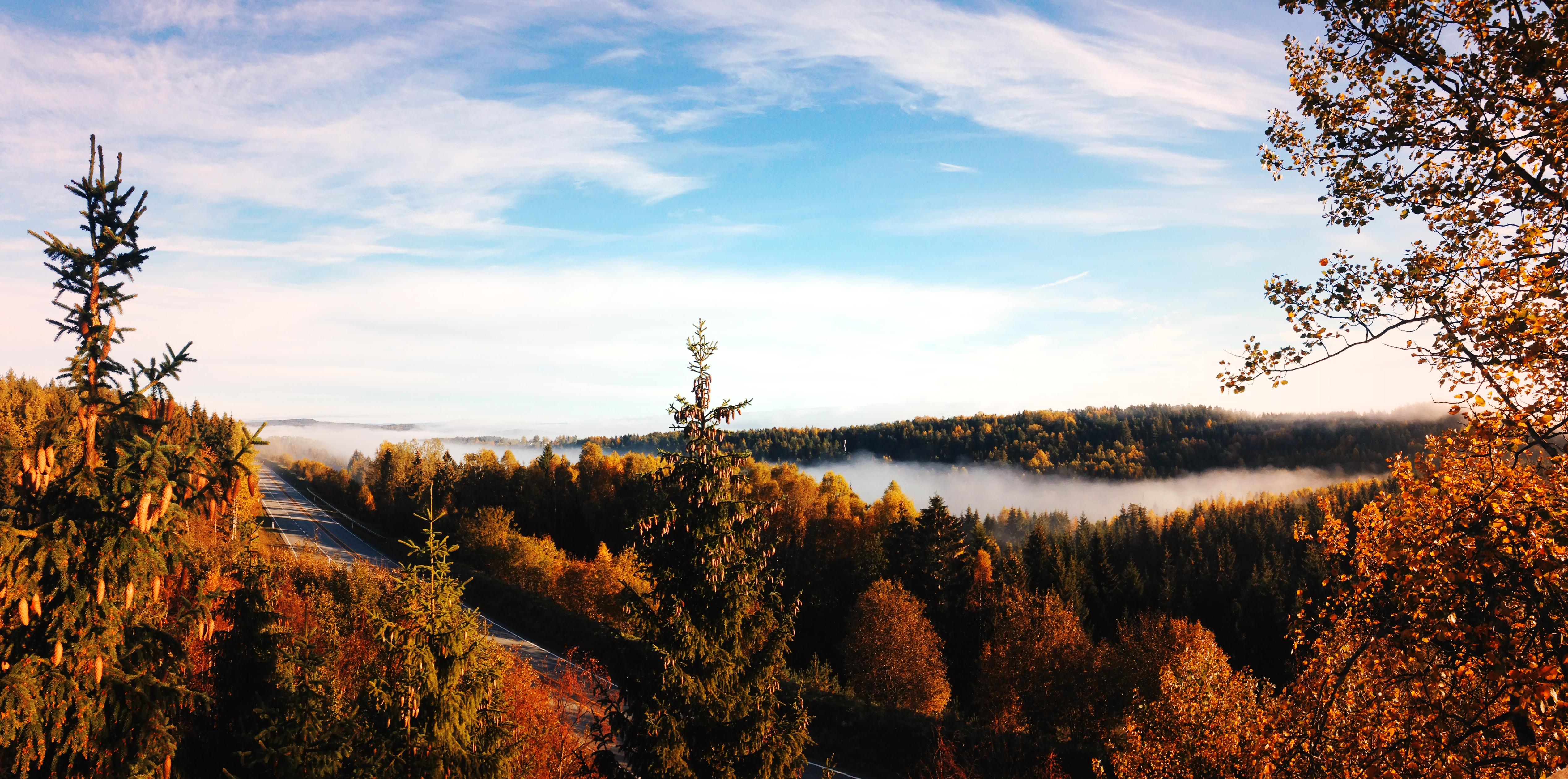 Valmet Forest Hub